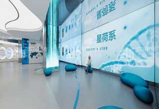 昆明网站建设网站建设团队